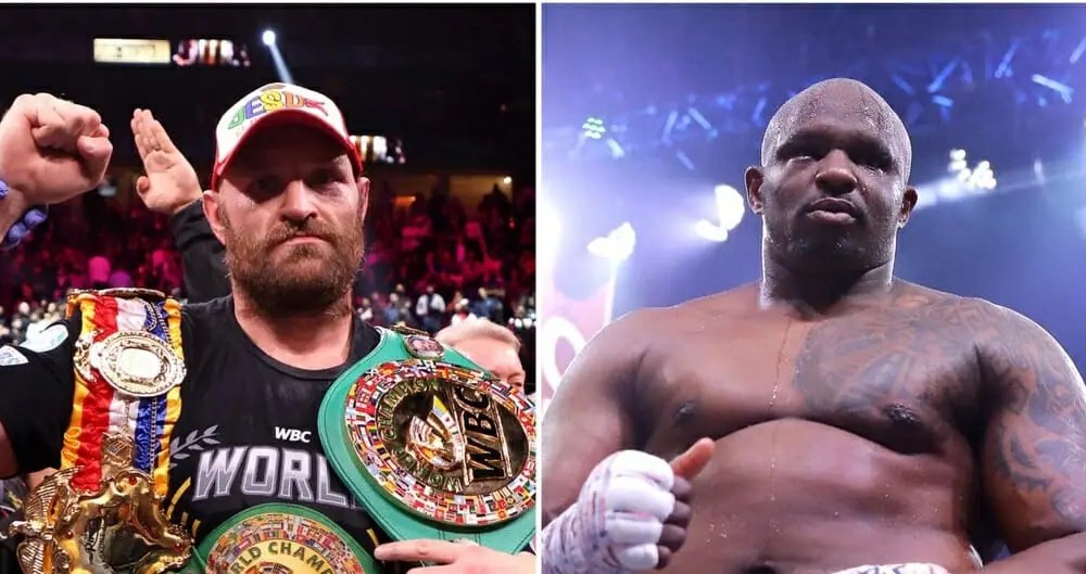 Fury and whyte